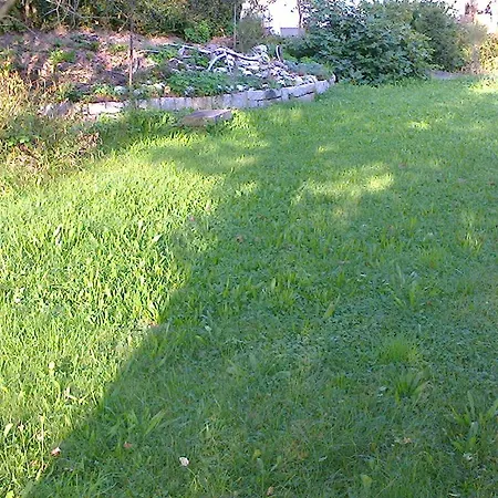 Aareblick *